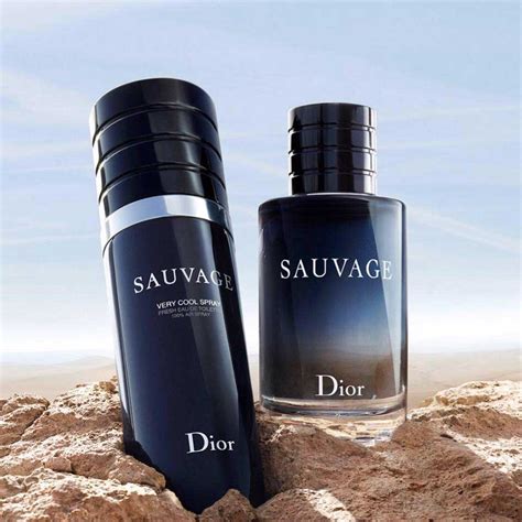 harga sauvage dior parfum|dior sauvage cool spray price.